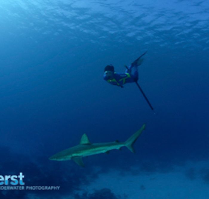 Inside the world of freediving (part 1)