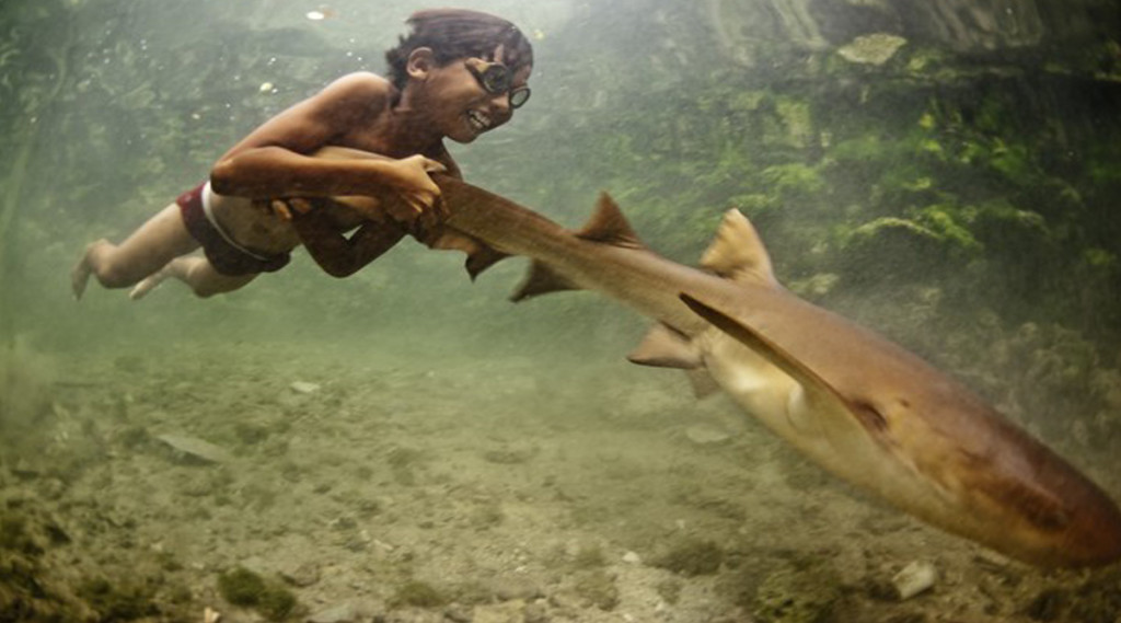 The 10 greatest shark documentaries NEVER made