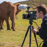Wildlife Filmmaking Course