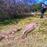 Wildlife Filmmaking Course
