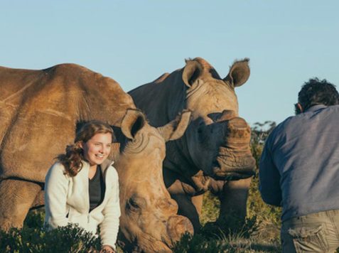 ryan johnson banner - film student with rhinos