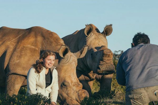 ryan johnson banner - film student with rhinos