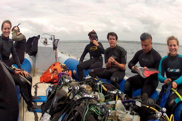 Great White Shark Research Mossel Bay - scuba diving weekend trips