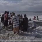 RJ-Cover-Sardine trek fishing