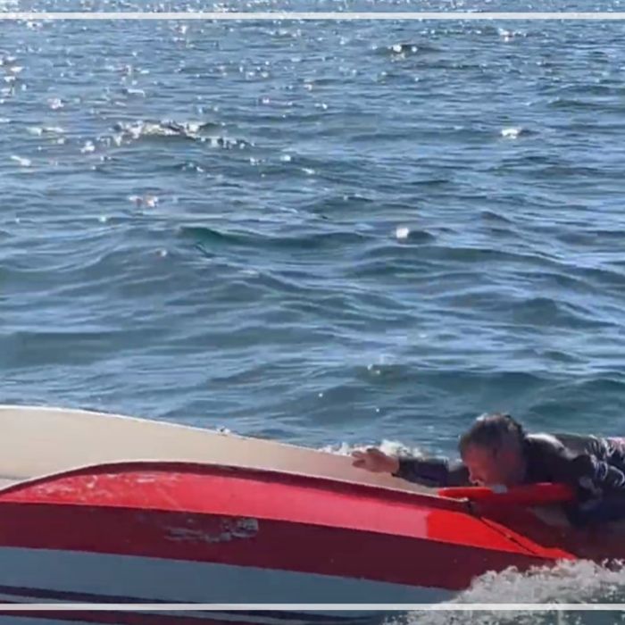 Boat capsizes in white shark waters