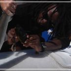 RJ-Cover gibbs kuguru hammerhead shark