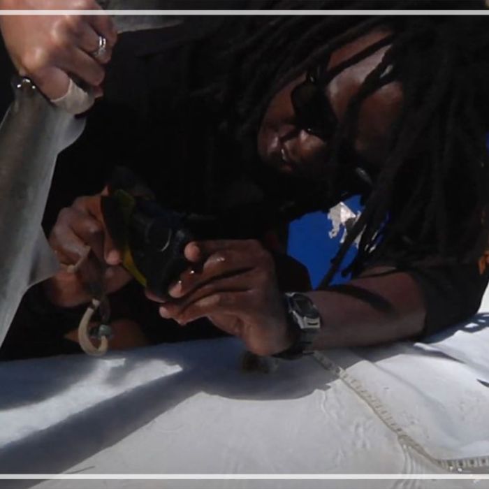 Gibbs Kuguru – Hammerhead Research
