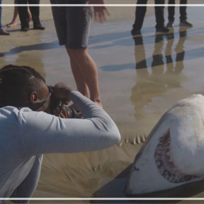 Gibbs Kuguru – White Sharks