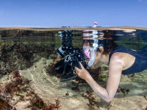 Underwater photography training internship - macro photography