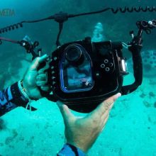 Underwater photography training internship - underwater camera Underwater photography training internship - underwater camera