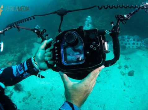 Underwater photography training internship - underwater camera