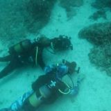 Underwater Videography Course