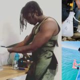 Great White Shark Field Course