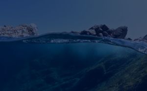 ocean documentary videography