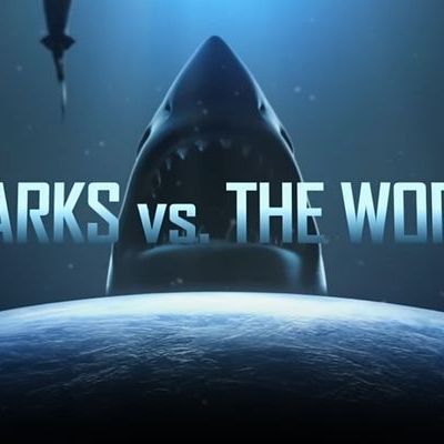 shark vs world - national geographic