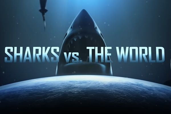 Shark vs. World
