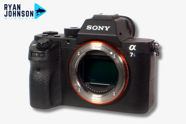 Sony A7S mkiii Underwater Setup