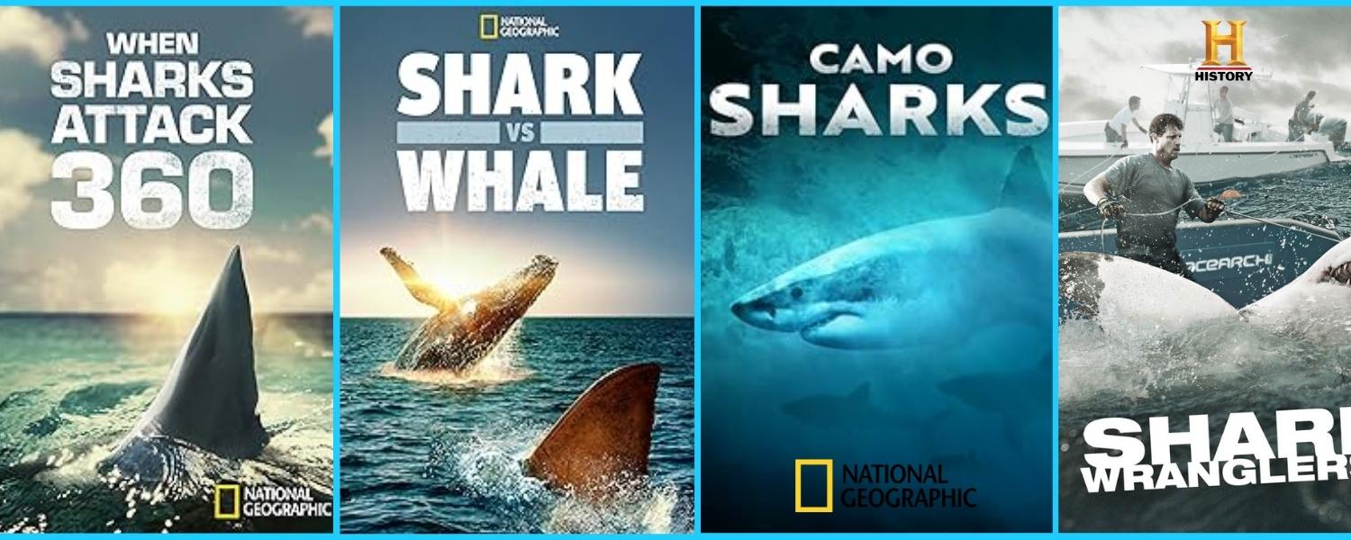 Virtual Shark Crowdcast
