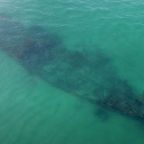 Antia wreck Plettenberg bay