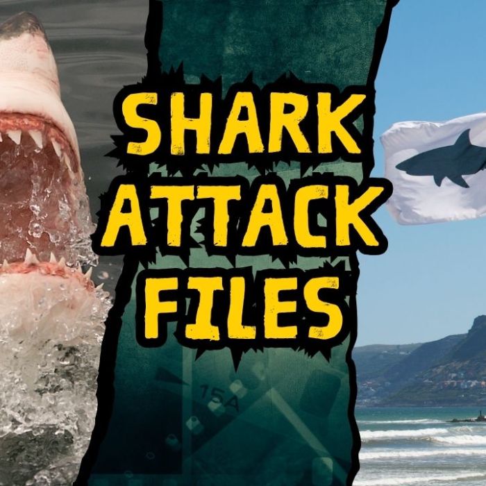 Shark Attack Files