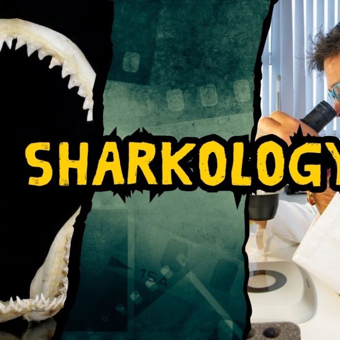 Sharkology