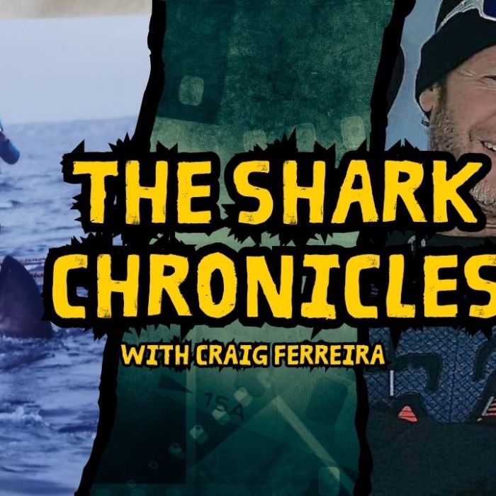 The Shark Chronicles