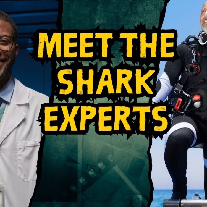 Meet Shark Experts