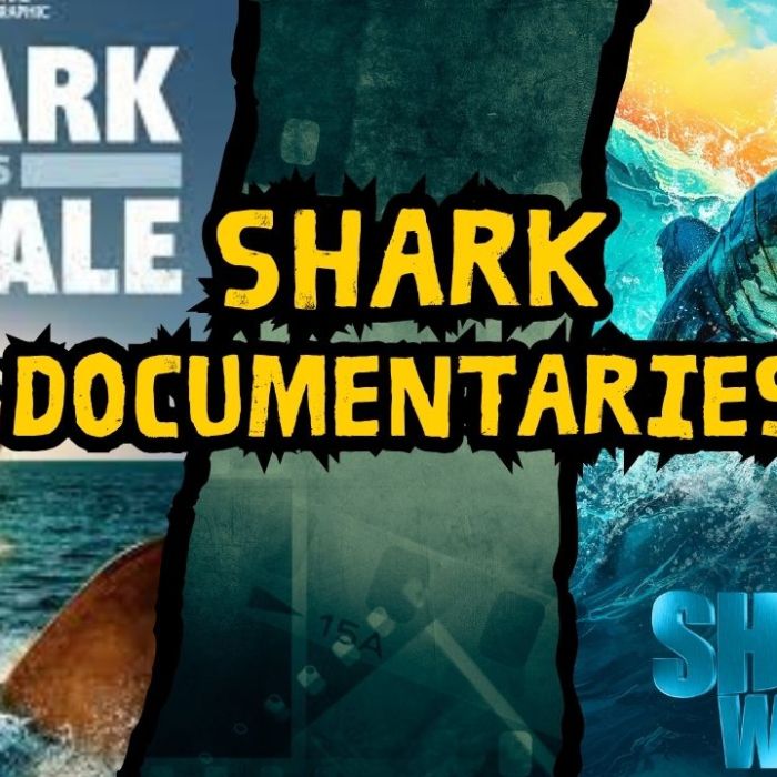 Shark Documentaries
