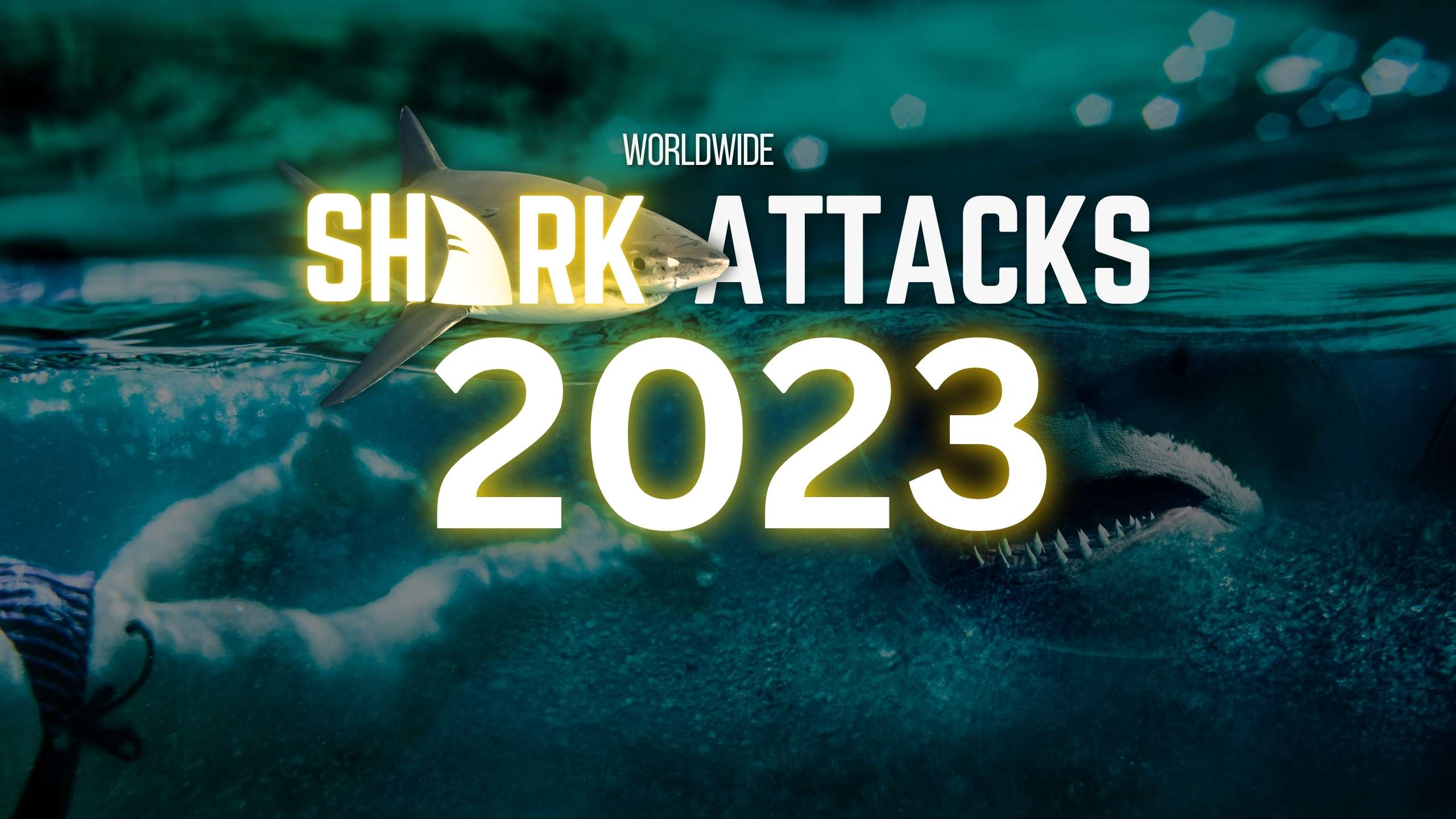 2023 Shark Attack Map